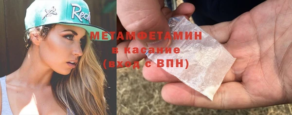прущие грибы Кодинск