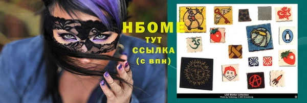 прущие грибы Кодинск