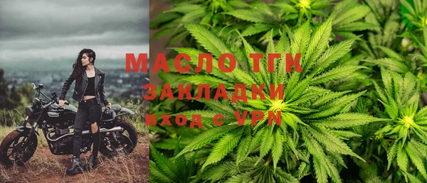 прущие грибы Кодинск