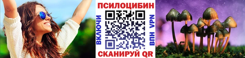 Псилоцибиновые грибы Psilocybe  где продают   Киржач 