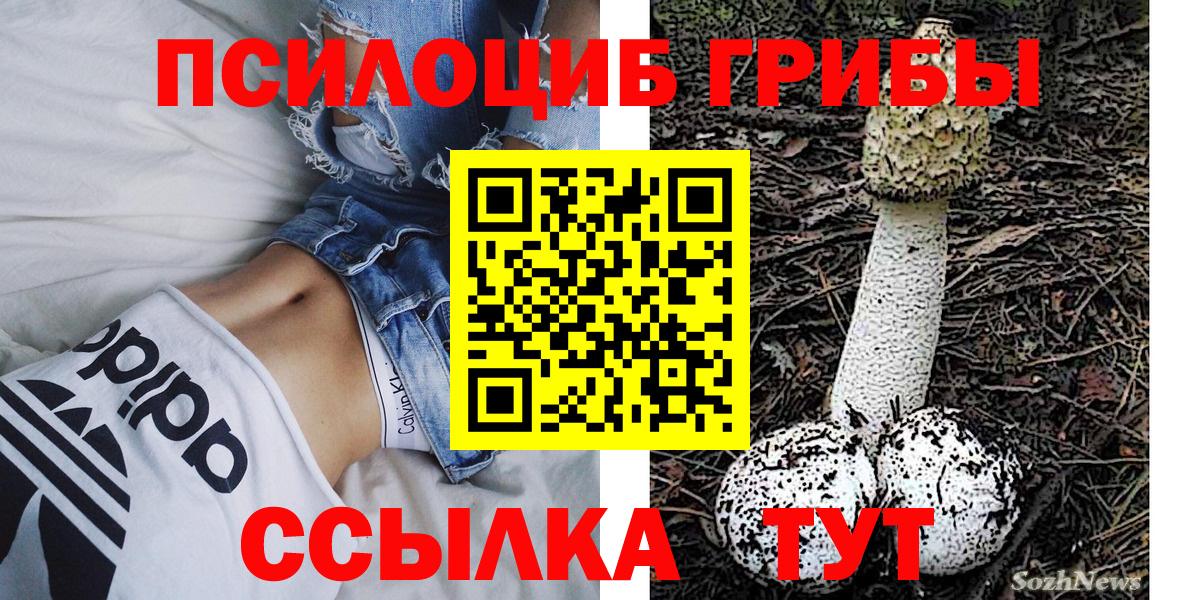 Галлюциногенные грибы мицелий Киржач