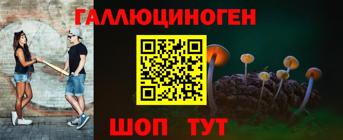 Галлюциногенные грибы Psilocybine cubensis  Псилоцибиновые грибы прущие грибы  Киржач  Вход с VPN 