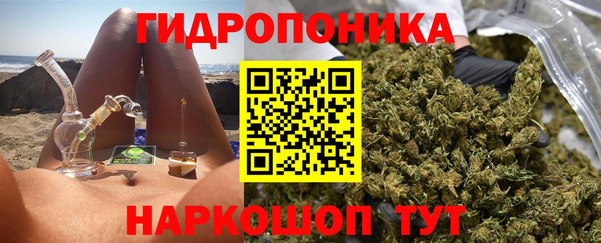Бошки марихуана OG Kush Киржач